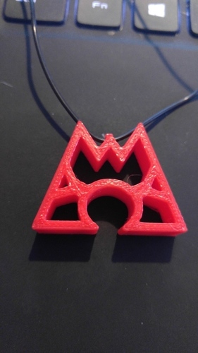 Team Aqua and Team Magma Necklaces 3D Print 100697