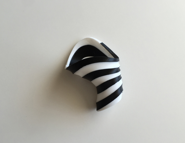 Zebra Vase (Dual Extrusion / 2 Color) 3D Print 100892 Zebra Vase (Dual Extrusion / 2 Color) 3D Print 100892
