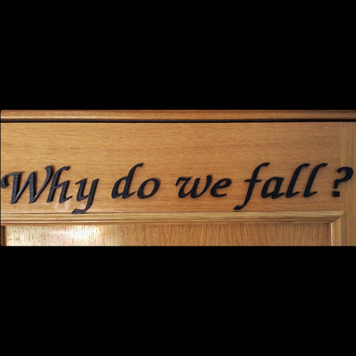 Why do we fall? 3D Print 102624