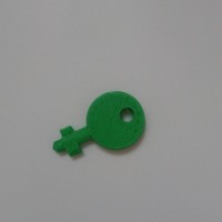 Small Paper towel dispenser key (Fripa) 3D Printing 102719