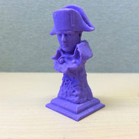 Small Napoleon Bonaparte Bust 3D Printing 102941