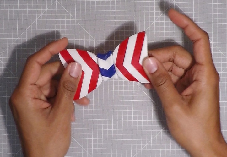 Independence Day Bow Tie 3D Print 103450
