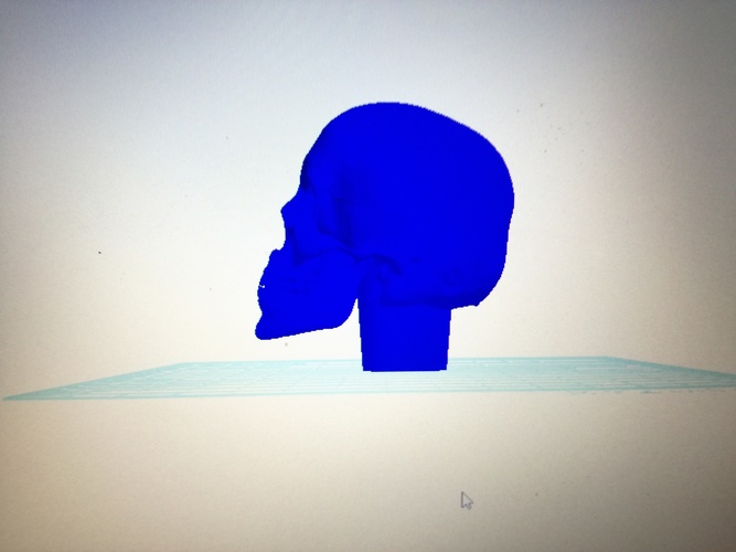 gear lever skull 3D Print 103648