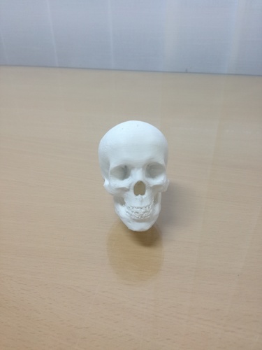 gear lever skull 3D Print 103649
