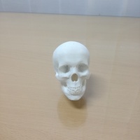 Small gear lever skull 3D Printing 103649