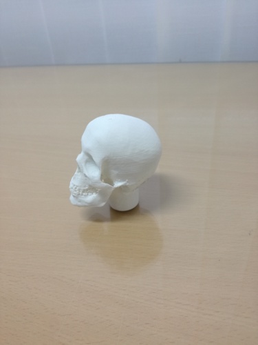 gear lever skull 3D Print 103650