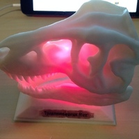 Small T-Rex skull LED Remix 3D Printing 104842