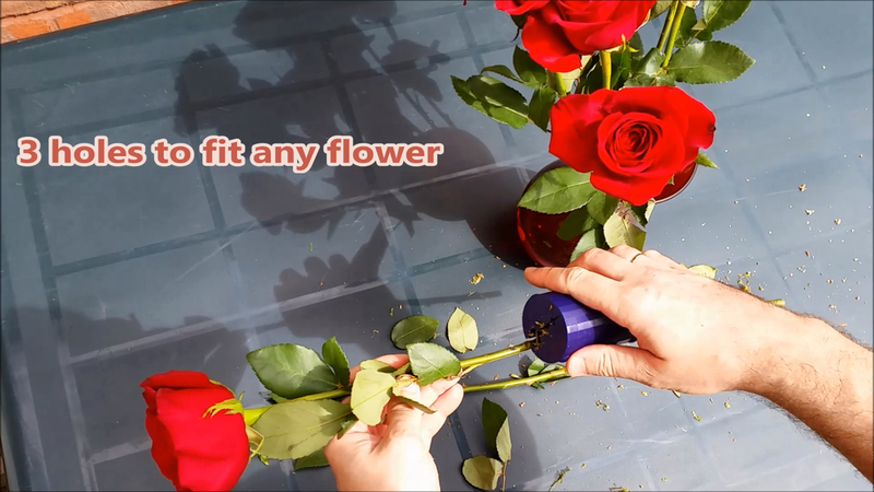 Rose Thorn Remover