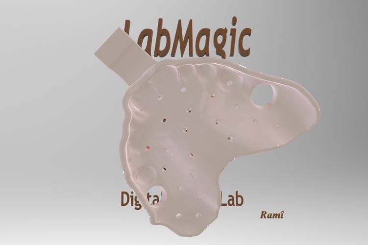 Digital Dental Custom Impression Tray 3D Print 106939 Digital Dental Custom Impression Tray 3D Print 106939