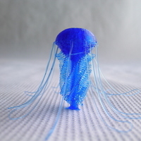 Small Jellyfish customizable - drooloops 3D Printing 109169