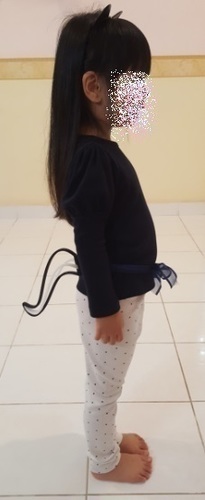 Wearable Cat / Skunk Tail 3D Print 109789