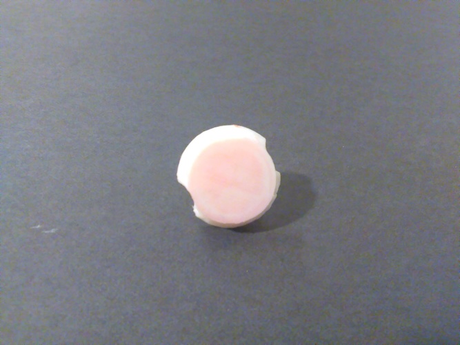Phelps3D Peep Hole Covers 3D Print 112403 Phelps3D Peep Hole Covers 3D Print 112403