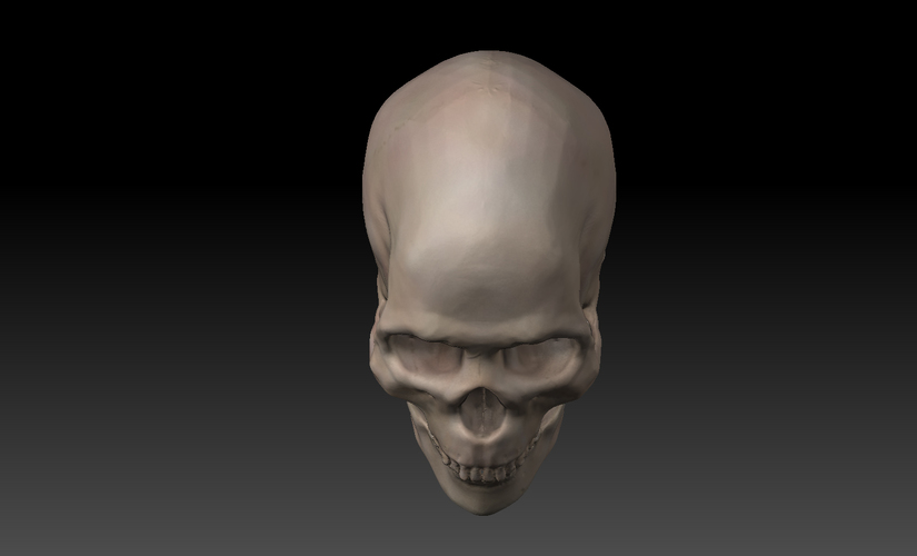 Skull. 3D Print 11421