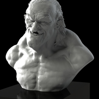 Small Scary old dude bust ! 3D Printing 114222