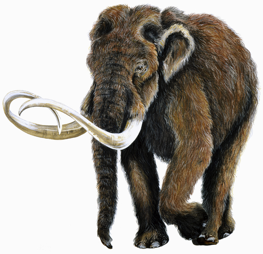 Comparing Ice Age Mammals 3D Print 115733
