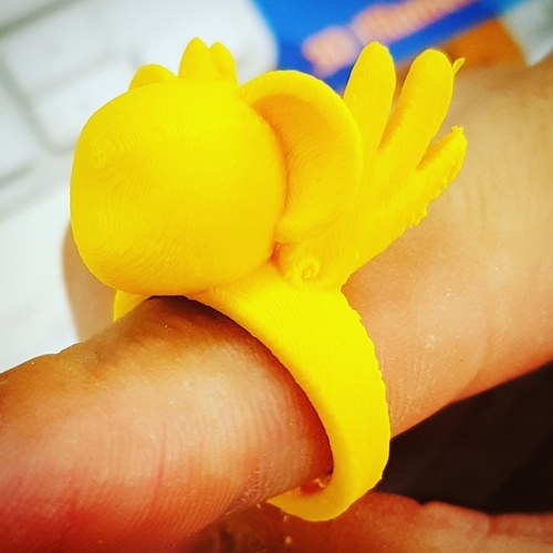 Kero Ring 3D Print 116566 Kero Ring 3D Print 116566