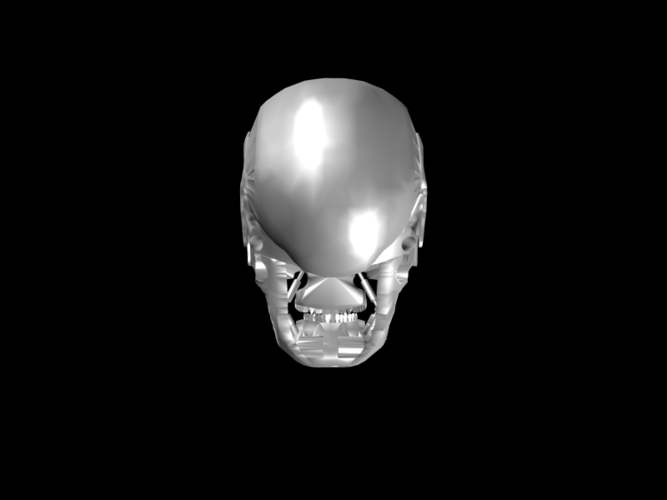 T800 Skull - Terminator 3D Print 116667