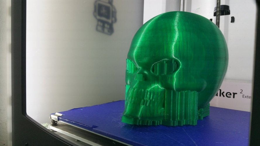 Martian Skull 3D Print 124352