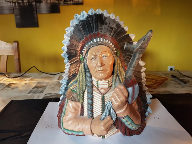 indian chief scan 3D Print 124513