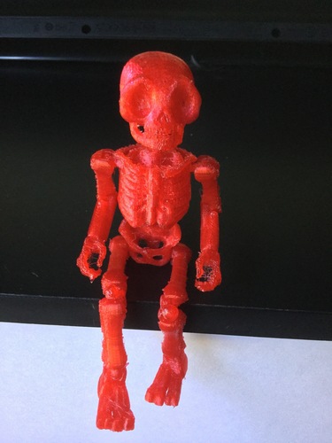 Skully Articulated Skeleton  3D Print 125100