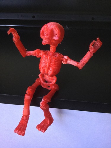 Skully Articulated Skeleton  3D Print 125102