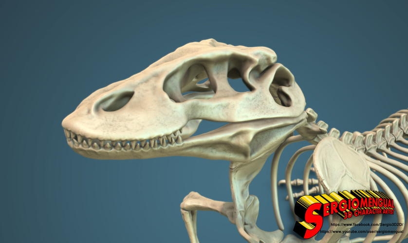 Komodo Dragon Skeleton 1:5 Scale 3D Print 130033