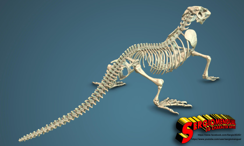 Komodo Dragon Skeleton 1:5 Scale 3D Print 130036