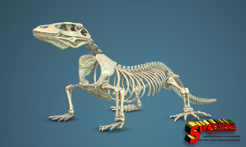 Komodo Dragon Skeleton 1:5 Scale 3D Print 130038