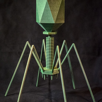 Small Bacteriophage - T4 Virus 3D Printing 130176