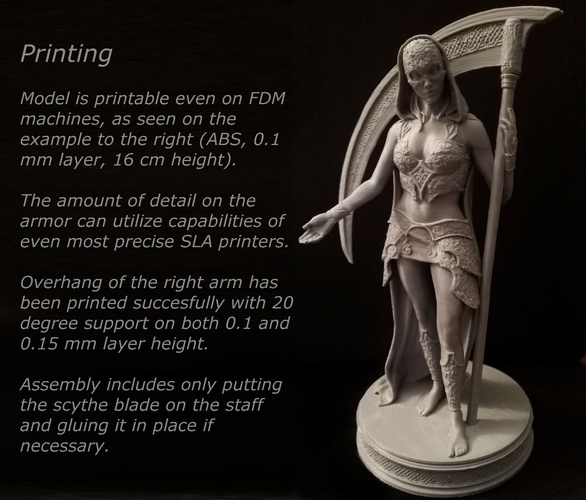 Bella Muerte 3D Print 131196