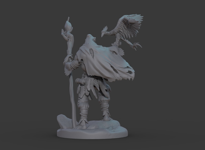 Ran'ril The Druid 3D Print 131782