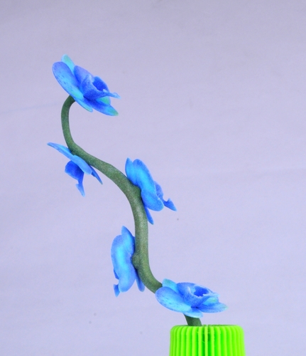 Butterfly orchid 3D Print 13453