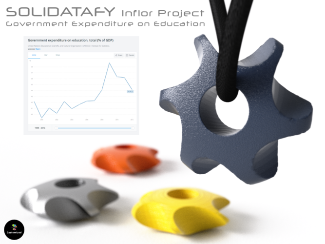 Solidatafy – Government Expenditure on Education 3D Print 137053