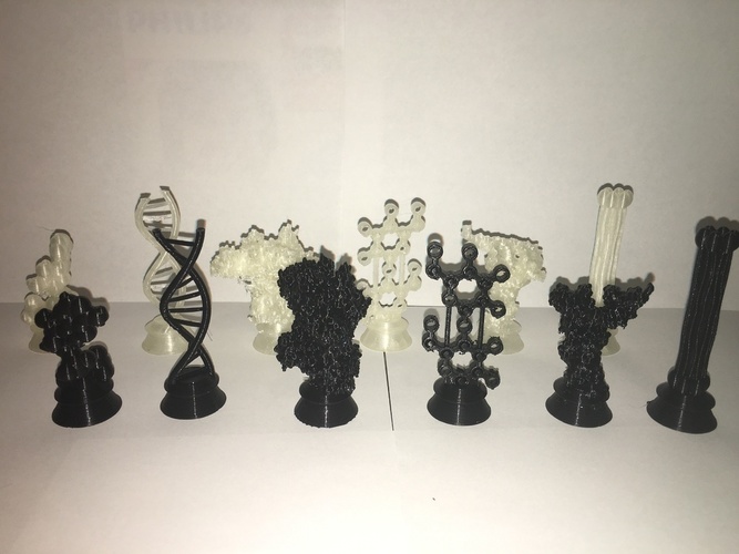 Biochemistry Chess Set 3D Print 137729