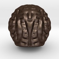 Owl - Thumbnail 1