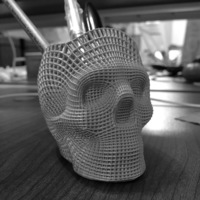 Small Wireframe Skull Pencil Holder (For The Love of Dog) 3D Printing 138811