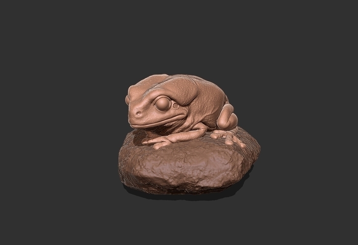 Chilling Frog 3D Print 139017 Chilling Frog 3D Print 139017