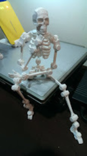 robot about the bone collector 3D Print 139062
