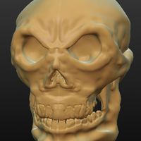 Small Skull 3D Printing 141302