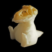 Small Mashup-Rex 3D Printing 143456