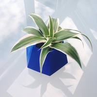 Small Geometric planter 3D Printing 143761