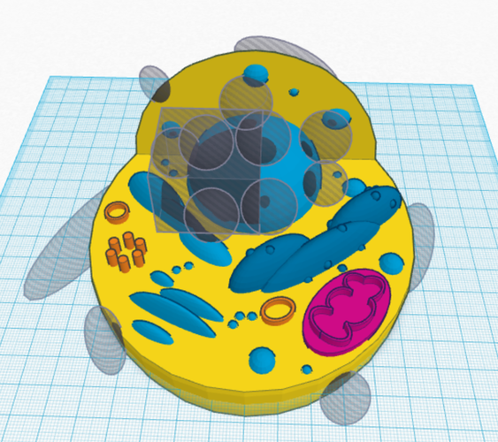 Animal Cell Model 3D Print 143896