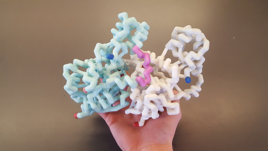 3D Printed Molecules 3D Print 145121