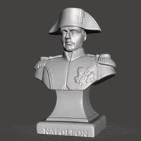 Small Napoleon Scan 3D Printing 146347