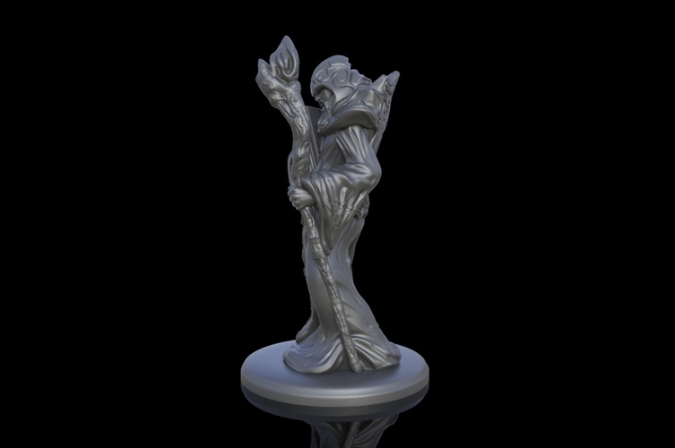 Arcane Wizard miniature 3D Print 146851