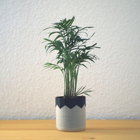 Small Composite planter 3D Printing 148304