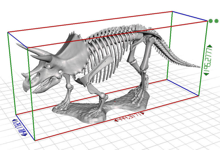 Triceratops prorsus Skeleton 3D Print 148504