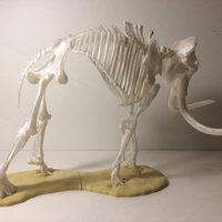 Woolly Mammoth Skeleton - Thumbnail 2