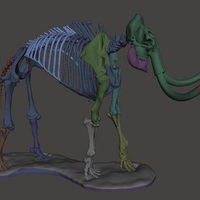 Woolly Mammoth Skeleton - Thumbnail 3