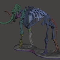 Woolly Mammoth Skeleton - Thumbnail 4